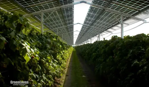 Другое Продажа 97231 Le Robert FR
