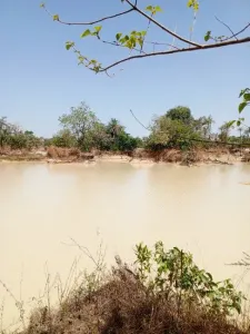 Земля под застройку Продажа 0000 Brikama Gambia  DE